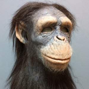 julie-stoehr-singe11